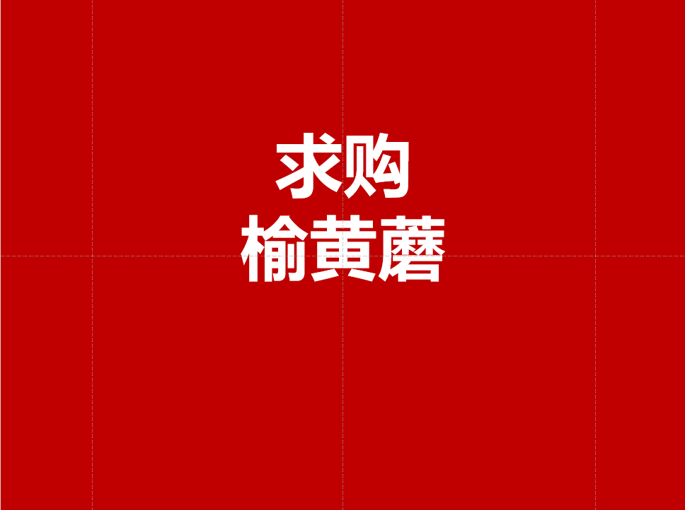 求购变色了的榆黄菇（榆黄蘑）