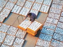 地理标志“金名片”培育“万亿产业”