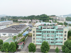 立足大别山沃土，铸就 23 年道地药材深加工标杆