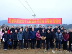 亩产5430公斤，这项国内纪录在云南昭通突破！
