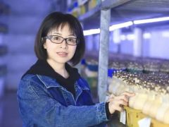 黄清华：从网上科普达人到食用菌产业升级“引路人”