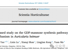 国家食用菌产业技术体系黑木耳品种改良岗位首次发现黑木耳抵御盐