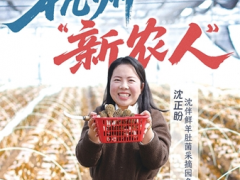 90后姑娘从互联网大厂辞职 跑到杭州乡村种羊肚菌，亩产1000斤