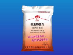 选对菌种 = 成功一半！固体菌种挑选全攻略，种菇必看，新手也能避坑高产