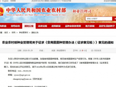 农业农村部就《食用菌菌种管理办法（征求意见稿）》公开征求意见
