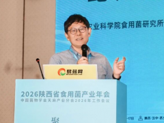 食用菌杂交育种：从 “产量大国”迈向 “种业强国”的技术路径