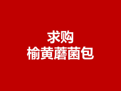 求购榆黄蘑菌包