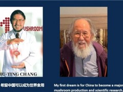 张树庭教授追思仪式直播通知