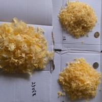 古田碎银耳干货源头工厂，无硫碎银耳 食品原料批发供应