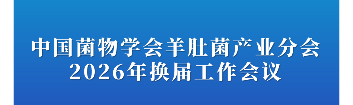 【会议通知】关于召开中国菌物学会羊肚菌产业分会2026年换届工作会议的通知