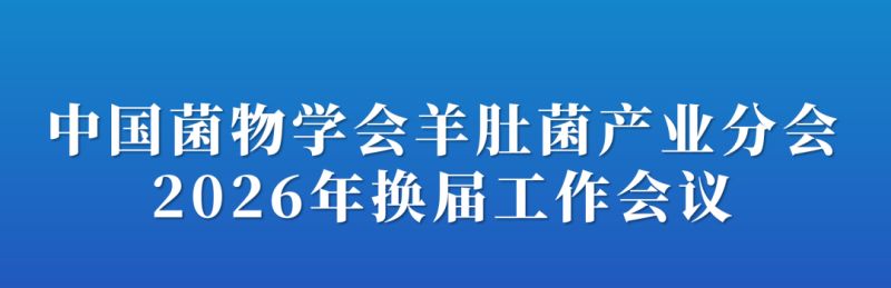 【会议通知】关于召开中国菌物学会羊肚菌产业分会2026年换届工作会议的通知